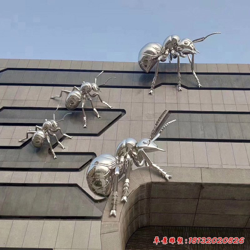 不銹鋼爬墻的蜘蛛