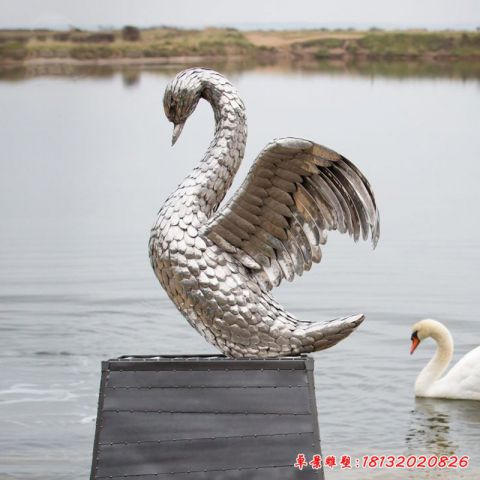 公園天鵝