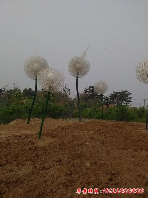 抽象公園蒲公英