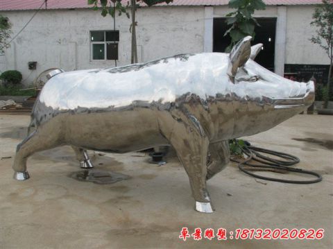 公園動物豬