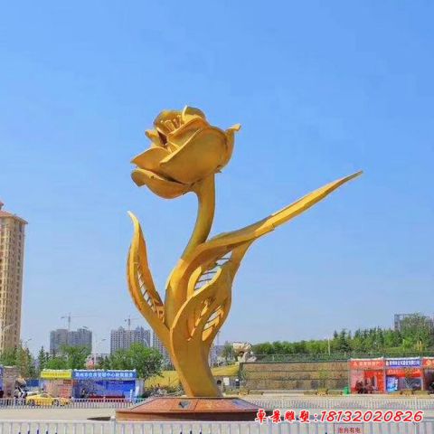 戶外紫荊花