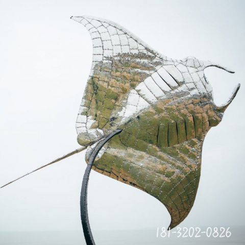 蝠鲼景觀